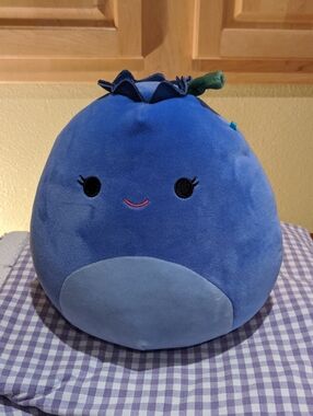 Squishmellow Bluby The Blueberry Plush Stuffed Animal Plush Pre-Owned